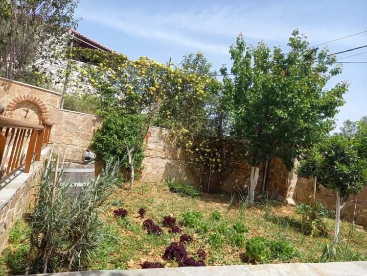 Peaceful House Near Airport Villa Pikérmion Екстериор снимка