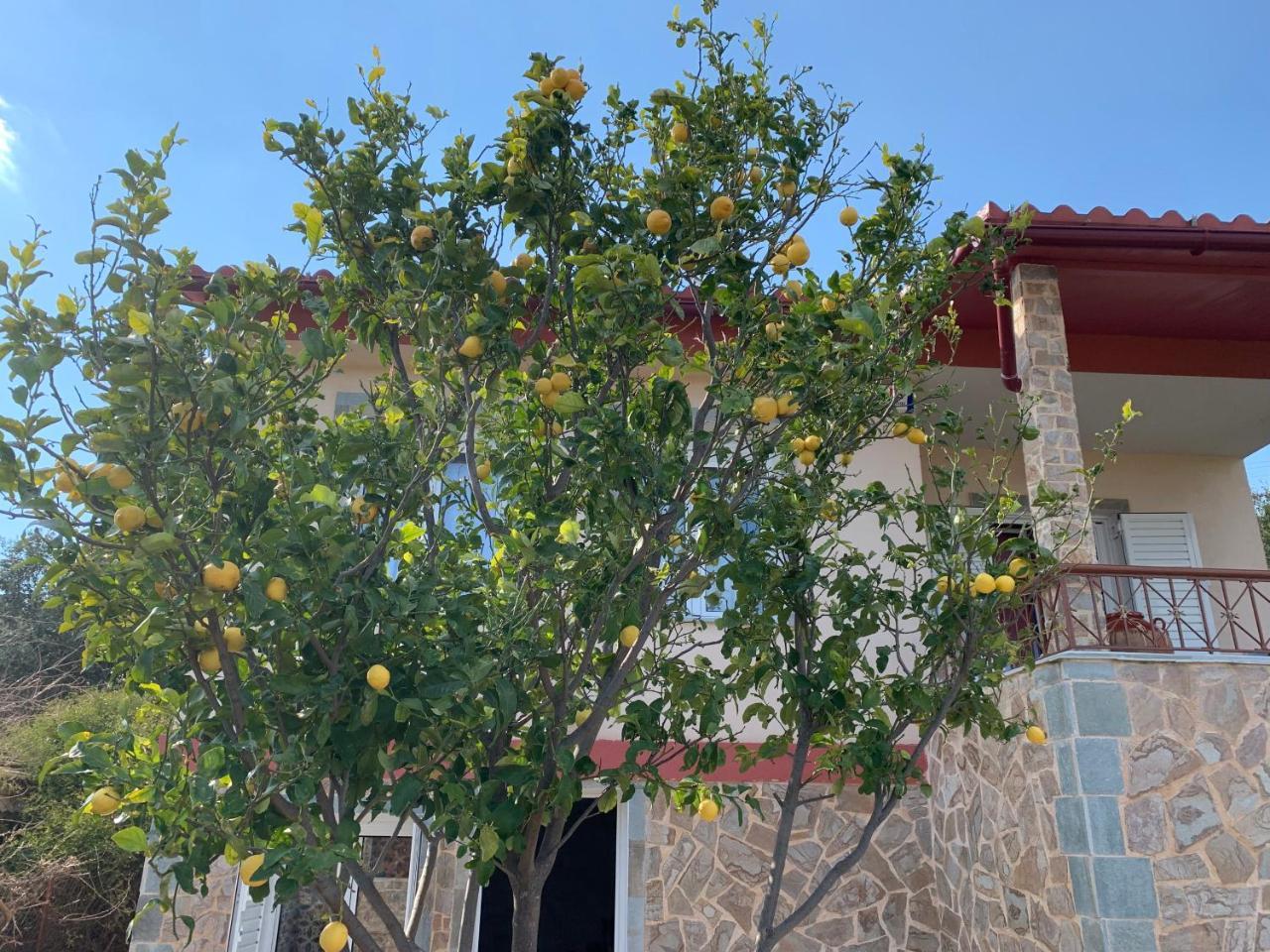 Peaceful House Near Airport Villa Pikérmion Екстериор снимка